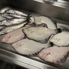 サンタと一緒にTシャツアイス。