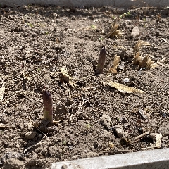 「おおきな車庫」工事再開！