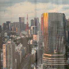 外に出ると、何か拾って帰ってくる。