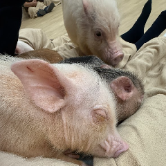 ショッピングで気づいた。“家づくりって疲れるよね”