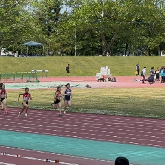 見に来ないで。