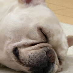 「安心して眠れる場所は、簡単にはつくれない。」  2026年、北見で家を建てる購入する『現実』の話。